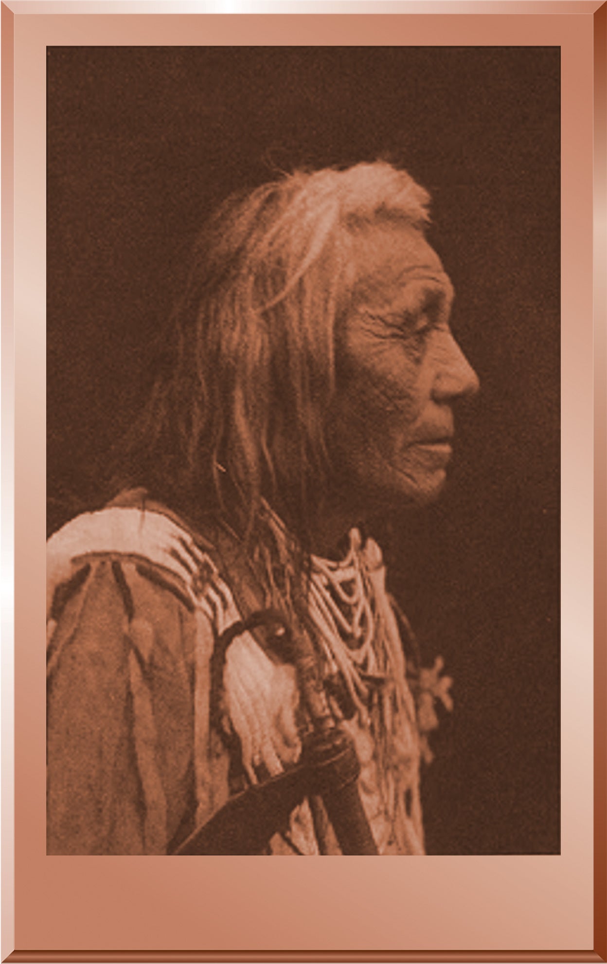 Cayuse Profile