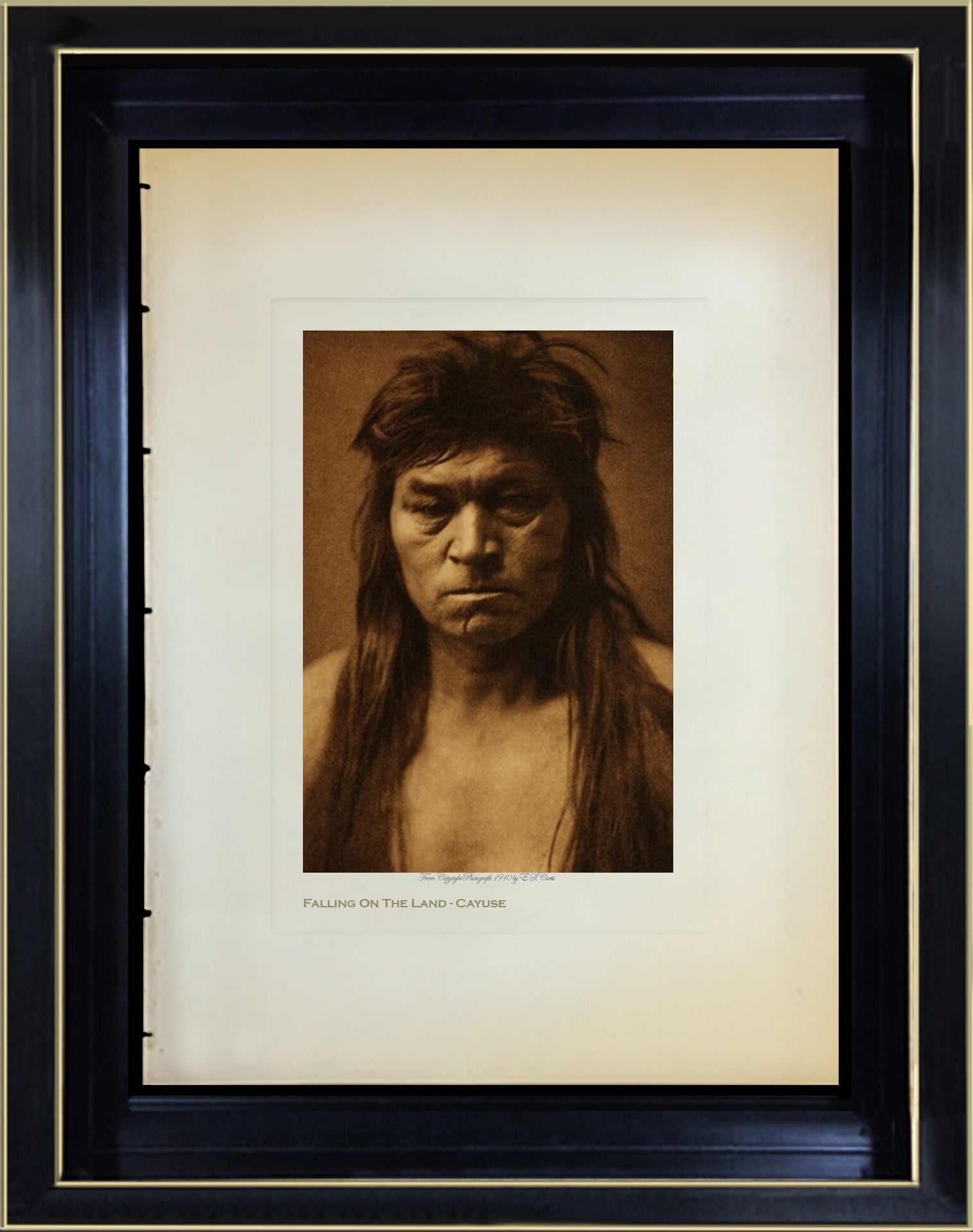 Falling On The Land - Cayuse