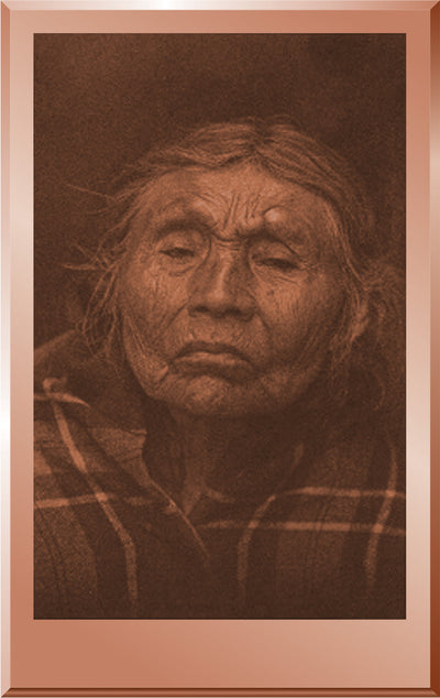 Chinook Female Type