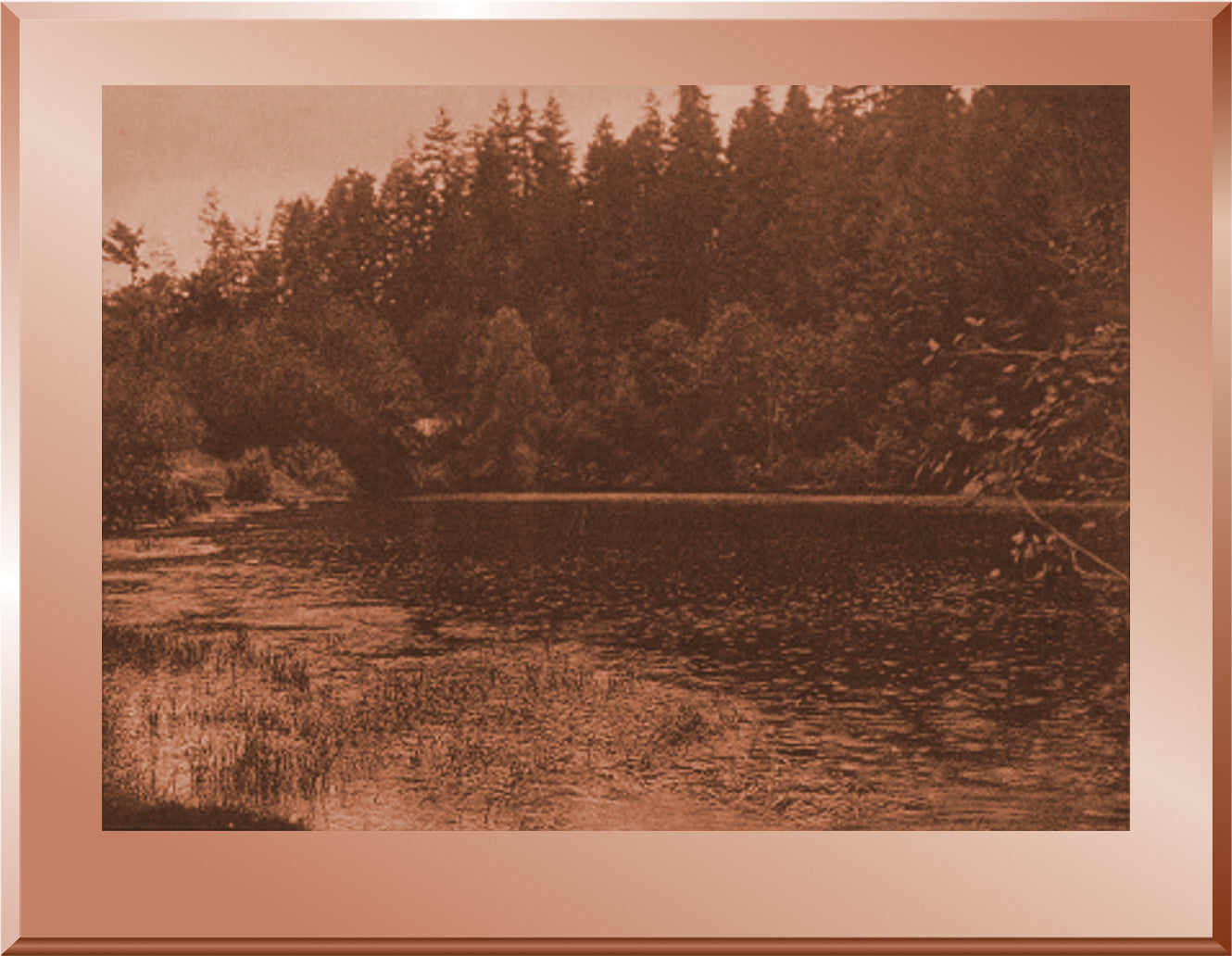 At the Site of Wahlala - Cascade