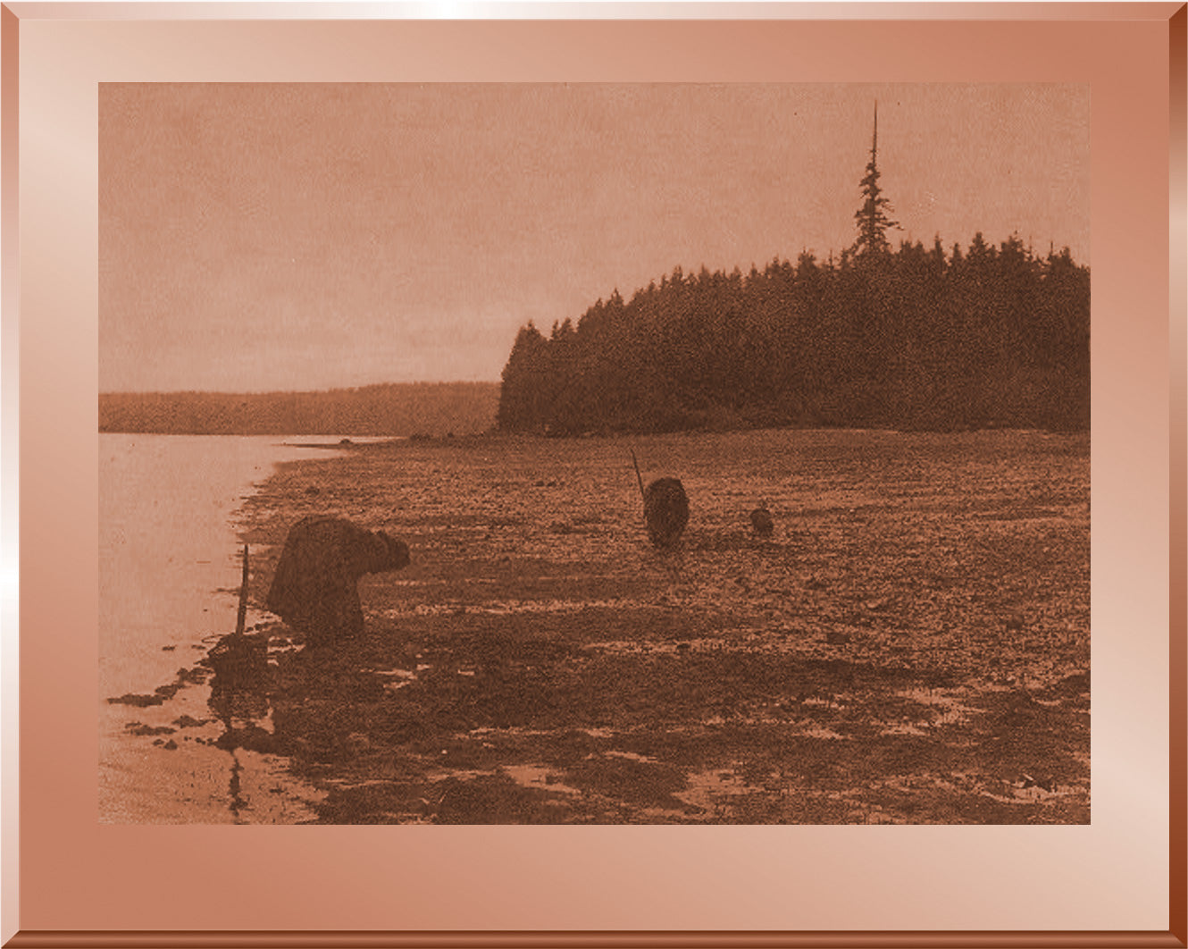 Digging Clams - Puget Sound