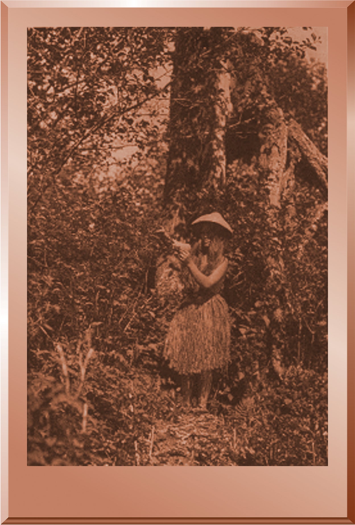 Quinault Berry Picker