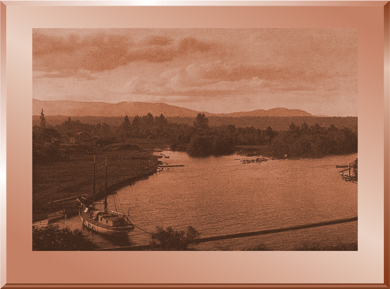 Looking up Cowichan River