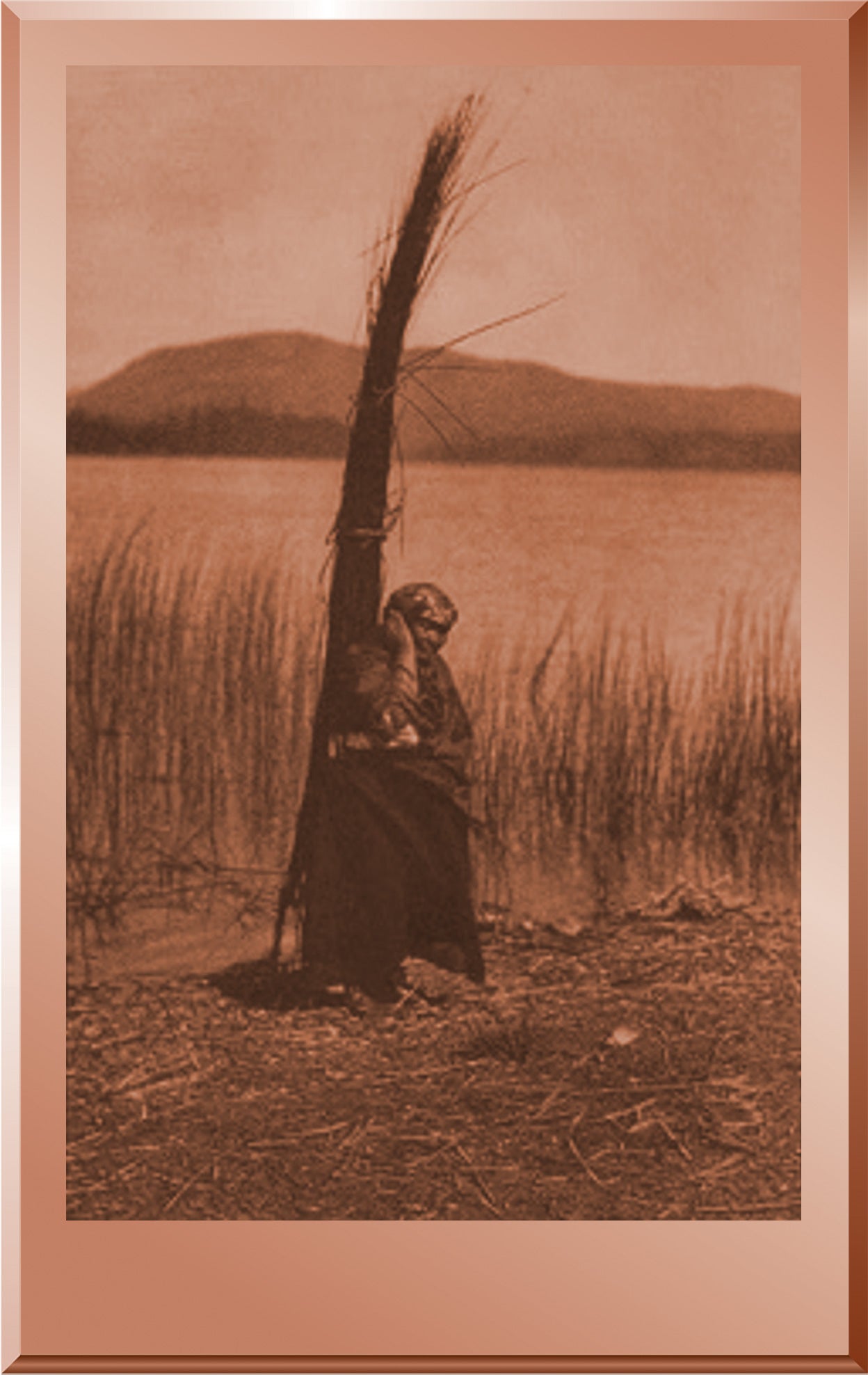 The Head Strap - Cowichan