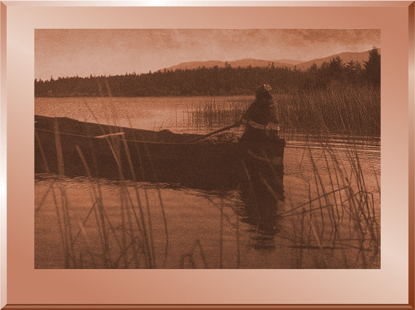 Homeward Bound - Cowichan