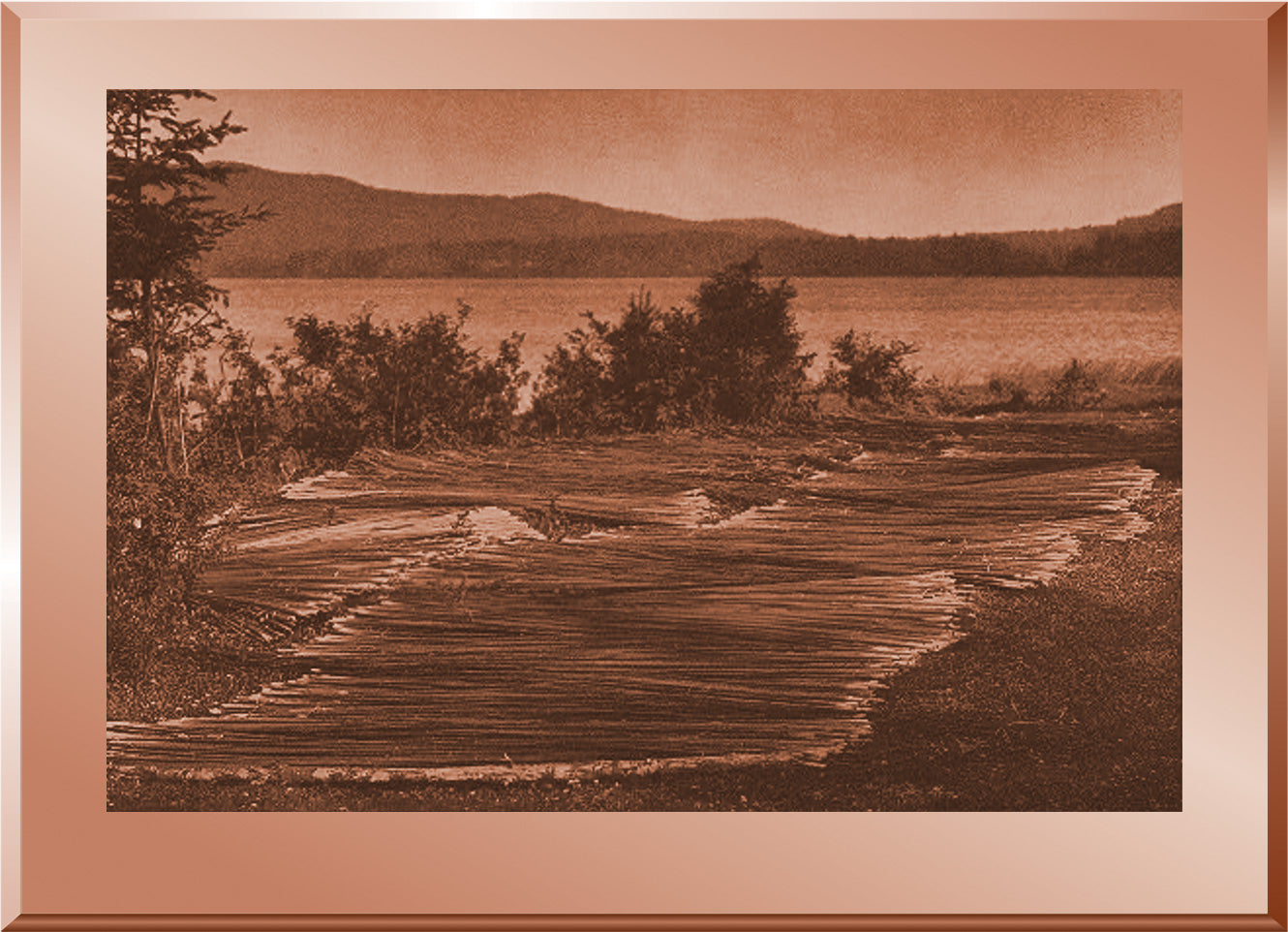 Drying Tules - Cowichan