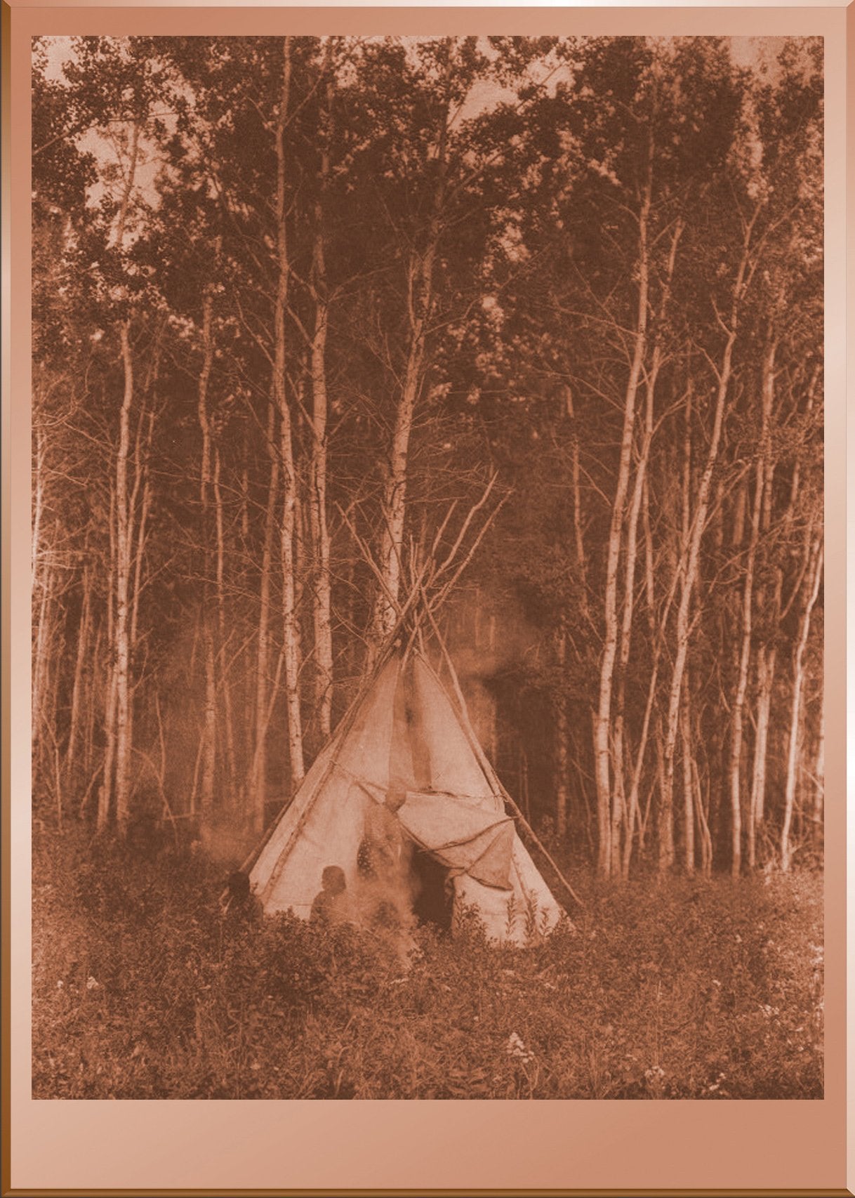 A Chipewyan Tipi Among the Aspens