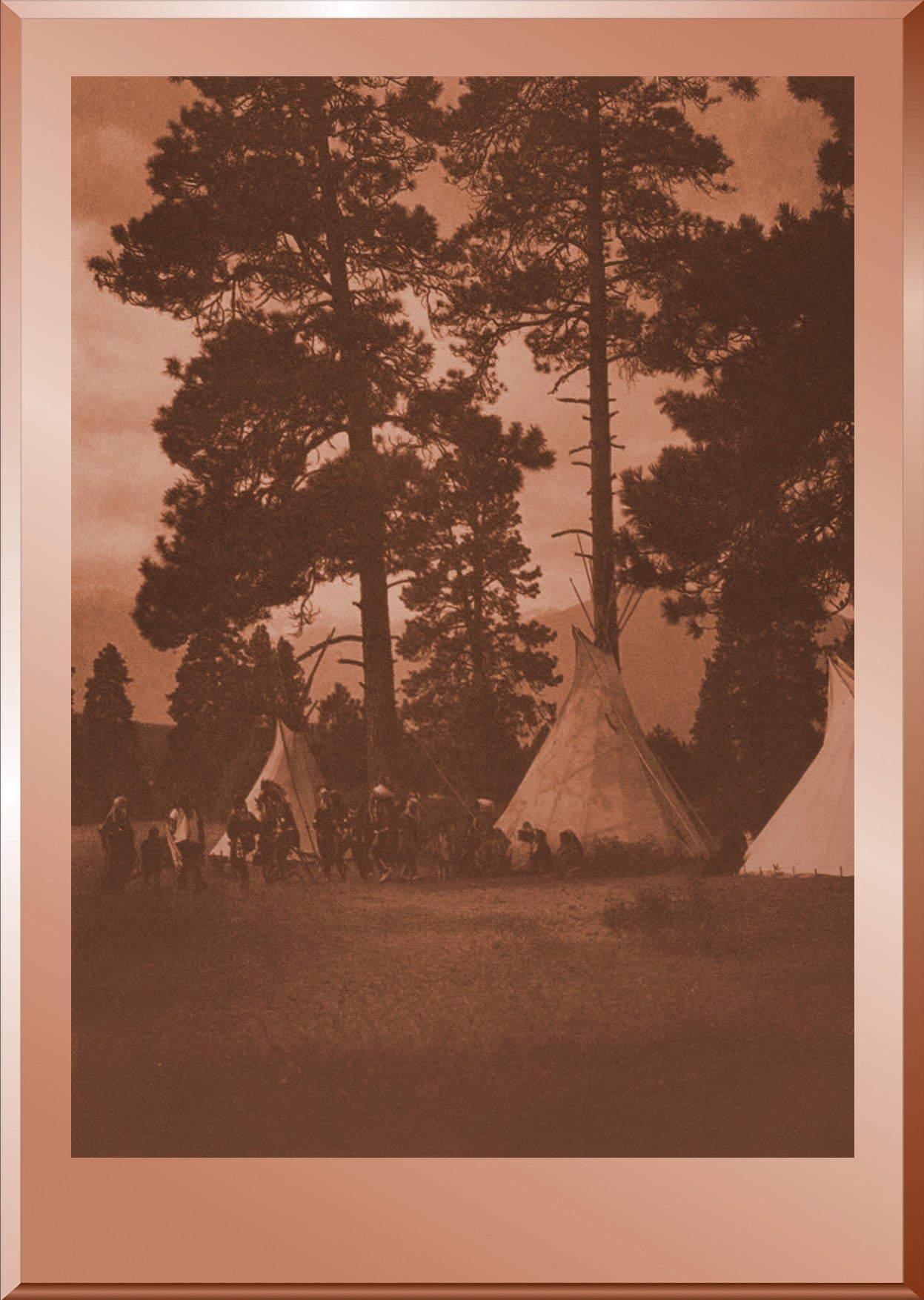 A Dance in the Forest - Flathead