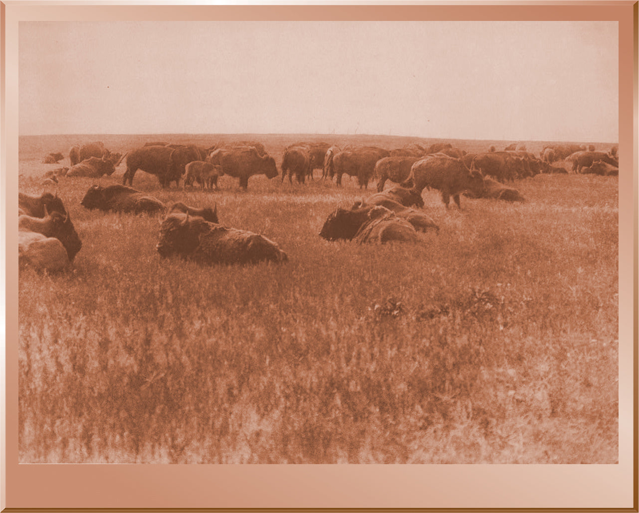 As it was in the Old Days