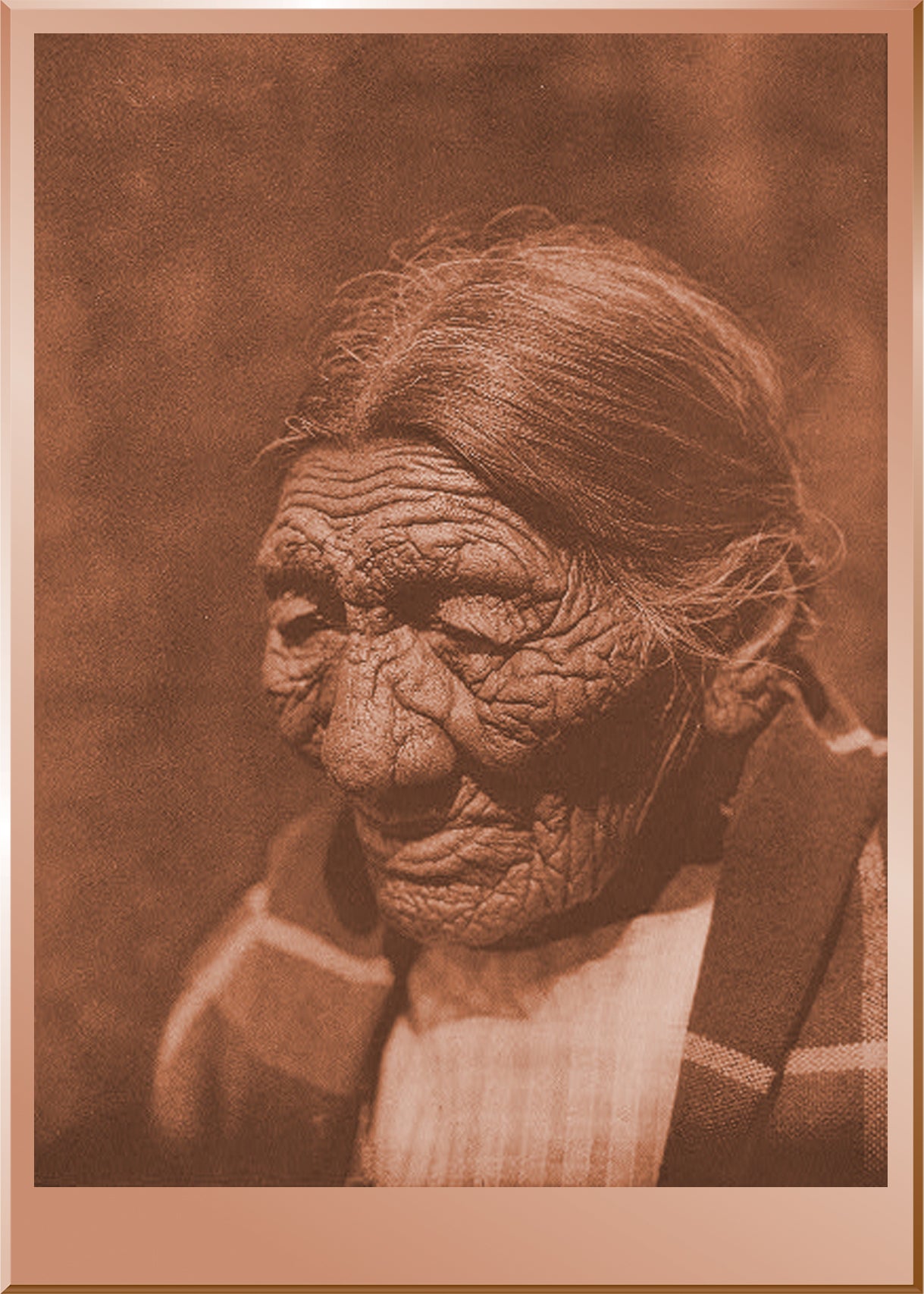 Black Belly - Cheyenne