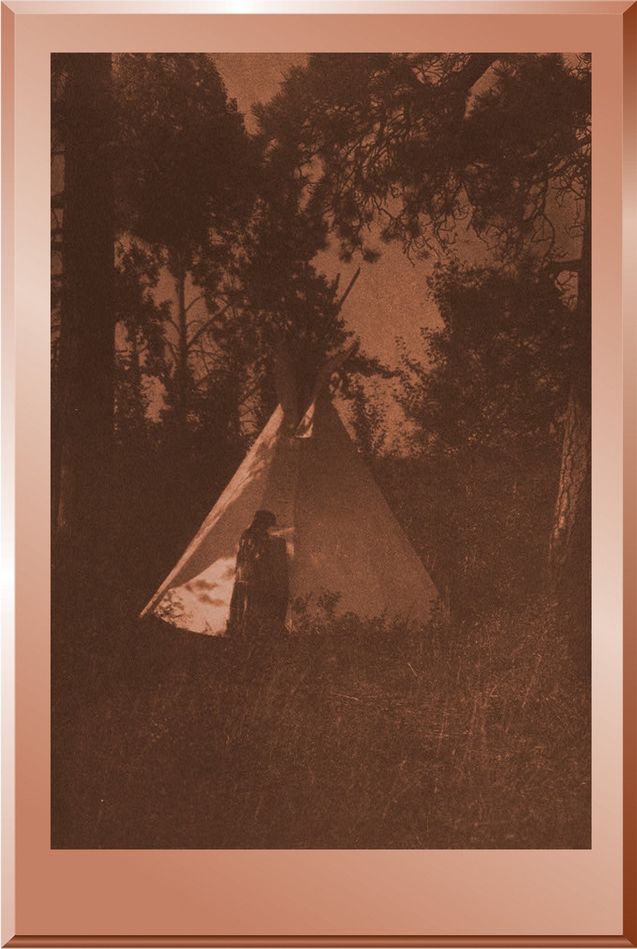 Camp in the Forest - Kutenai