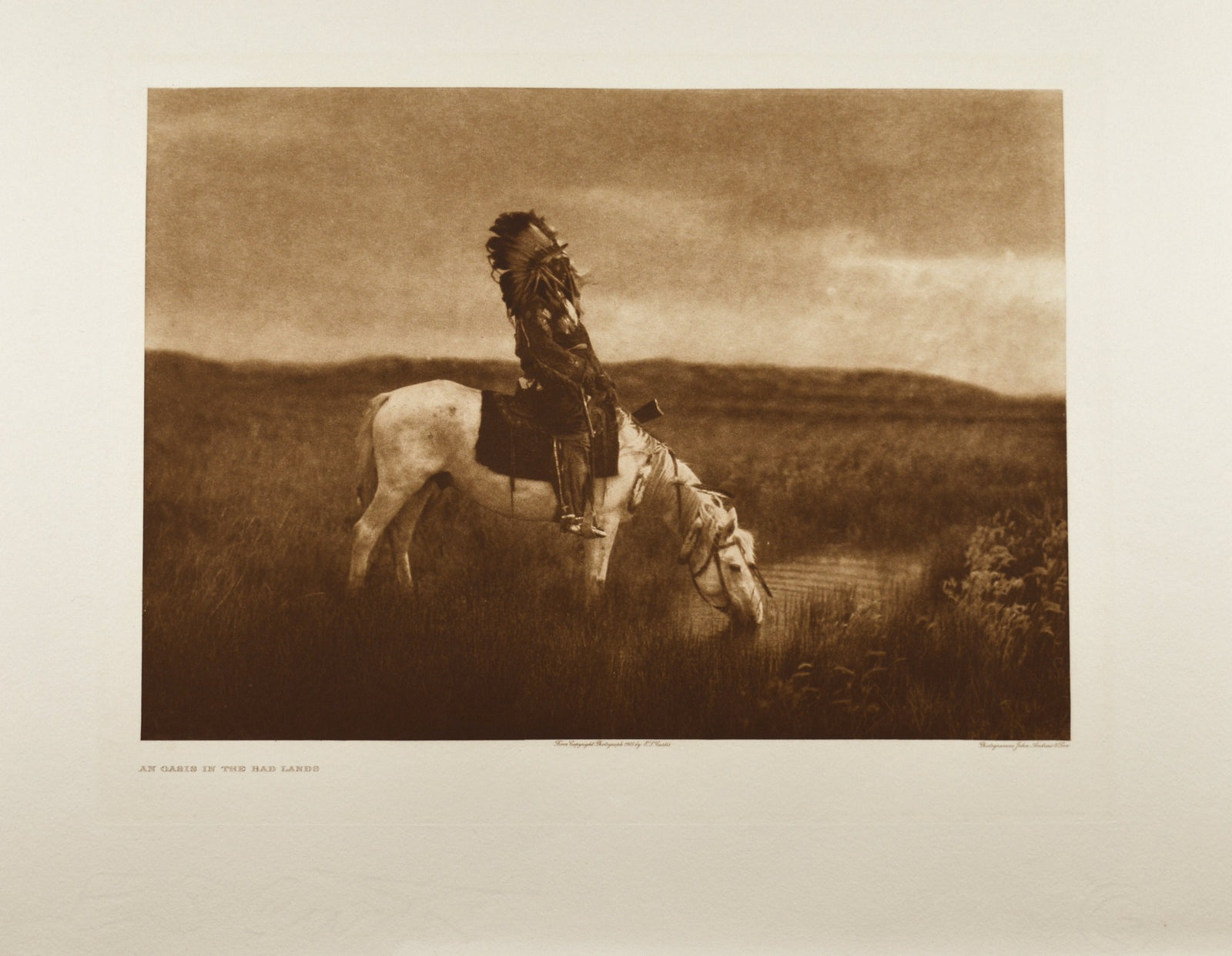 An Oasis In The Bad Lands