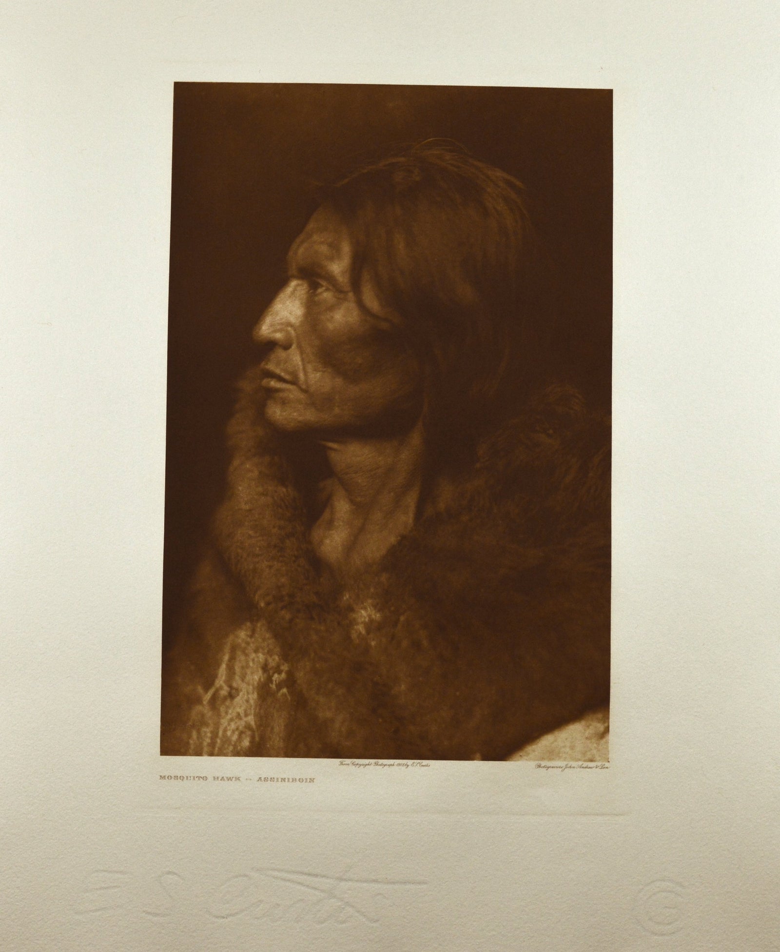 Mosquito Hawk - Assiniboin