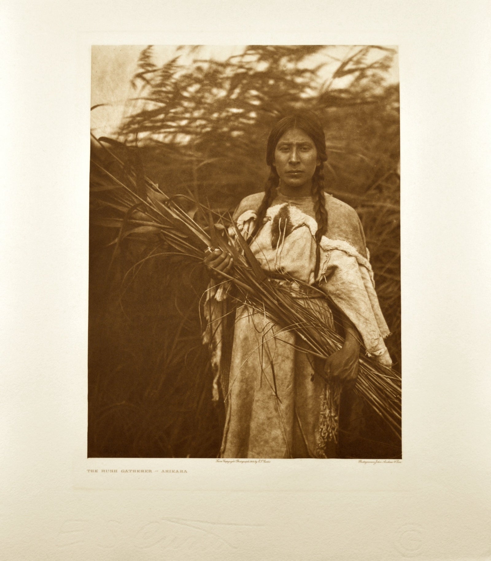 The Rush Gatherer - Arikara