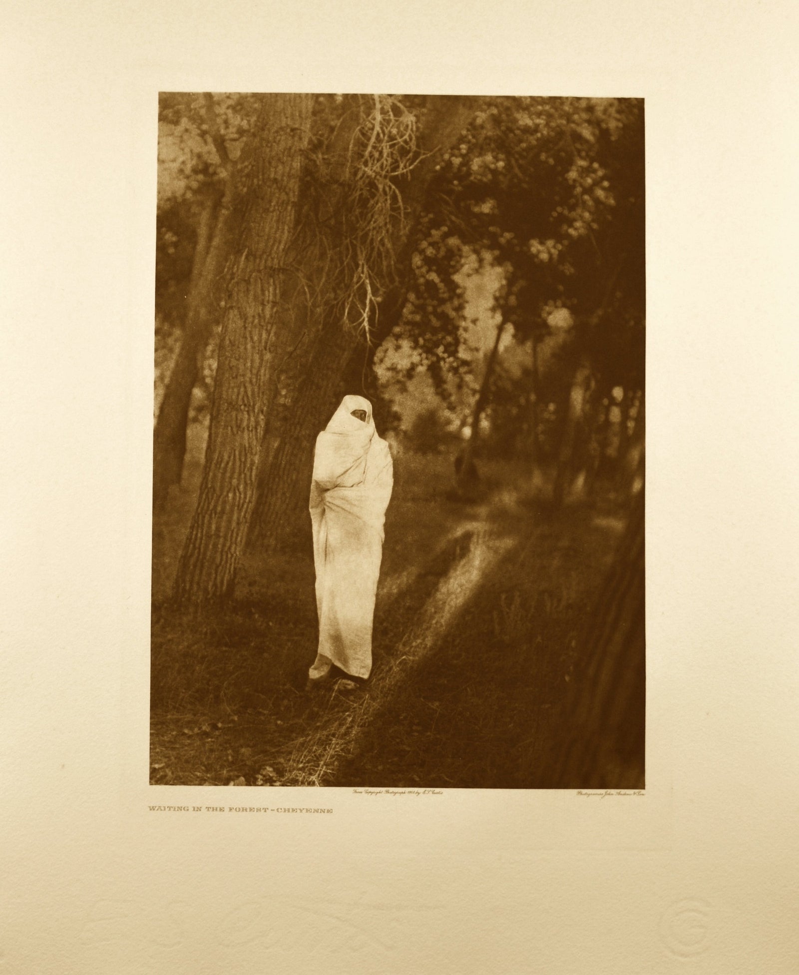 Waiting In The Forest - Cheyenne