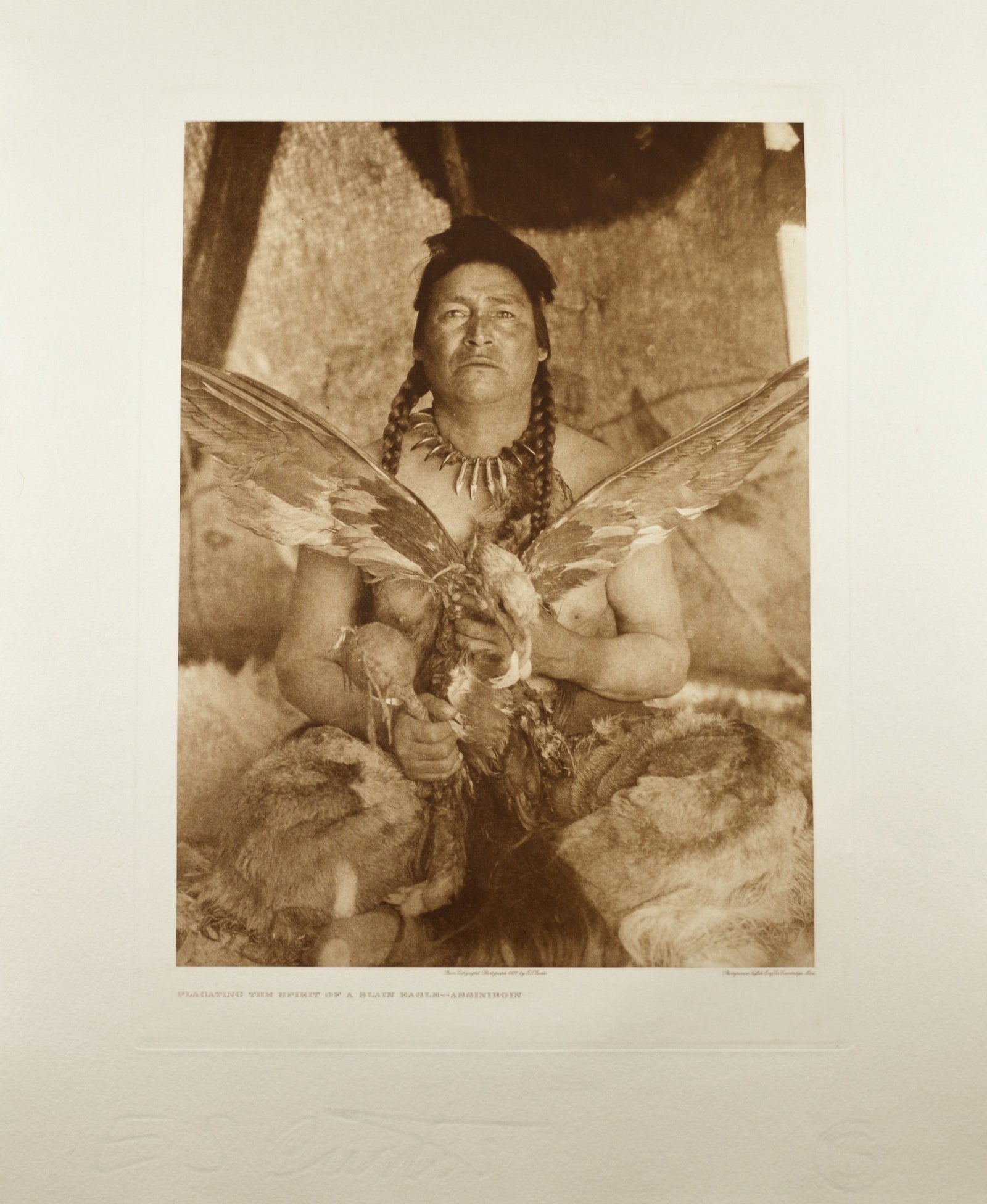 Placing The Spirit Of A Slain Eagle - Assiniboin