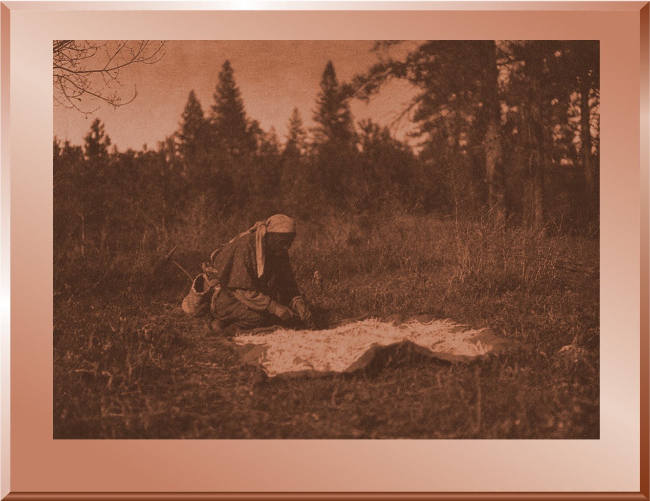 Drying Piahe - Yakima