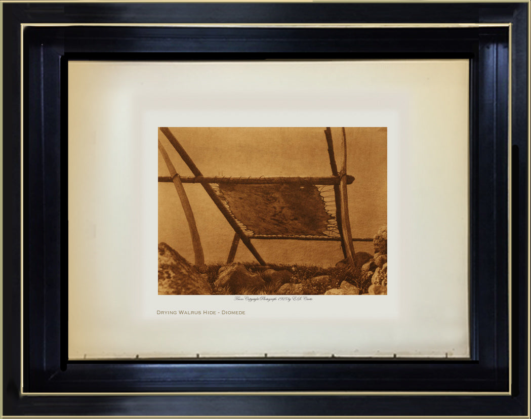 Drying Walrus Hide - Diomede