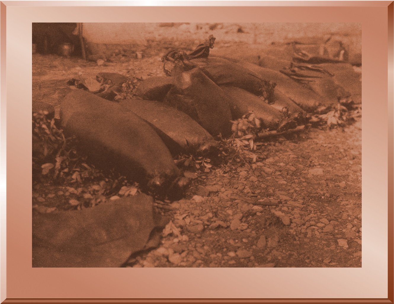 Food Containers, Pokes - Kotzebue