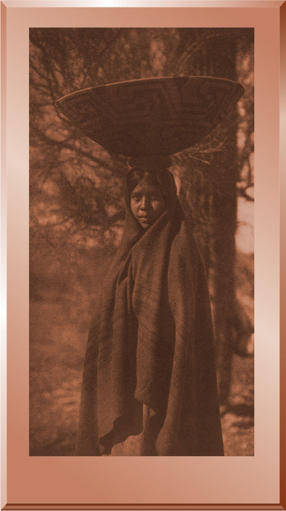 Fruit Gatherer - Maricopa