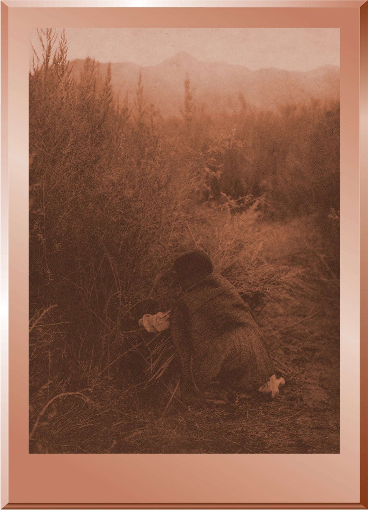 Gathering Arrow Brush - Pima