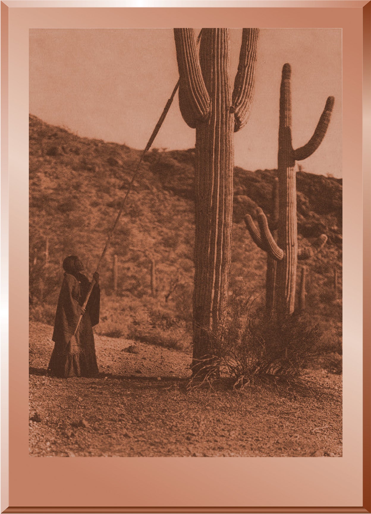 Gathering Hasen - Qahatika