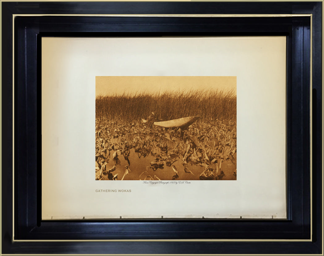 Gathering Wokas - Klamath