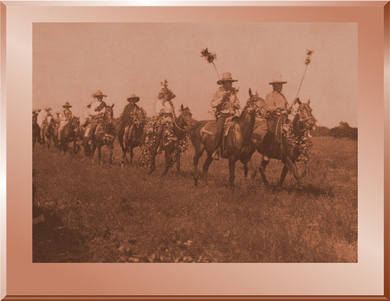 Hefatayu Society, Cheyenne Sun Dance