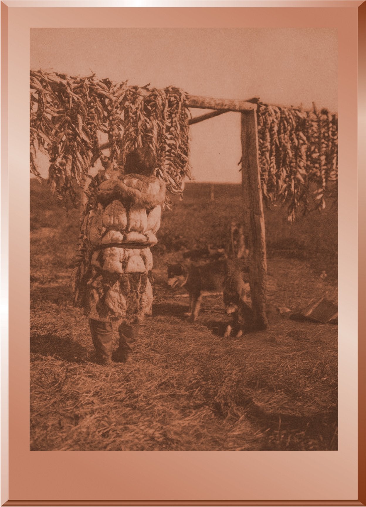 Herring Racks - Nunivak