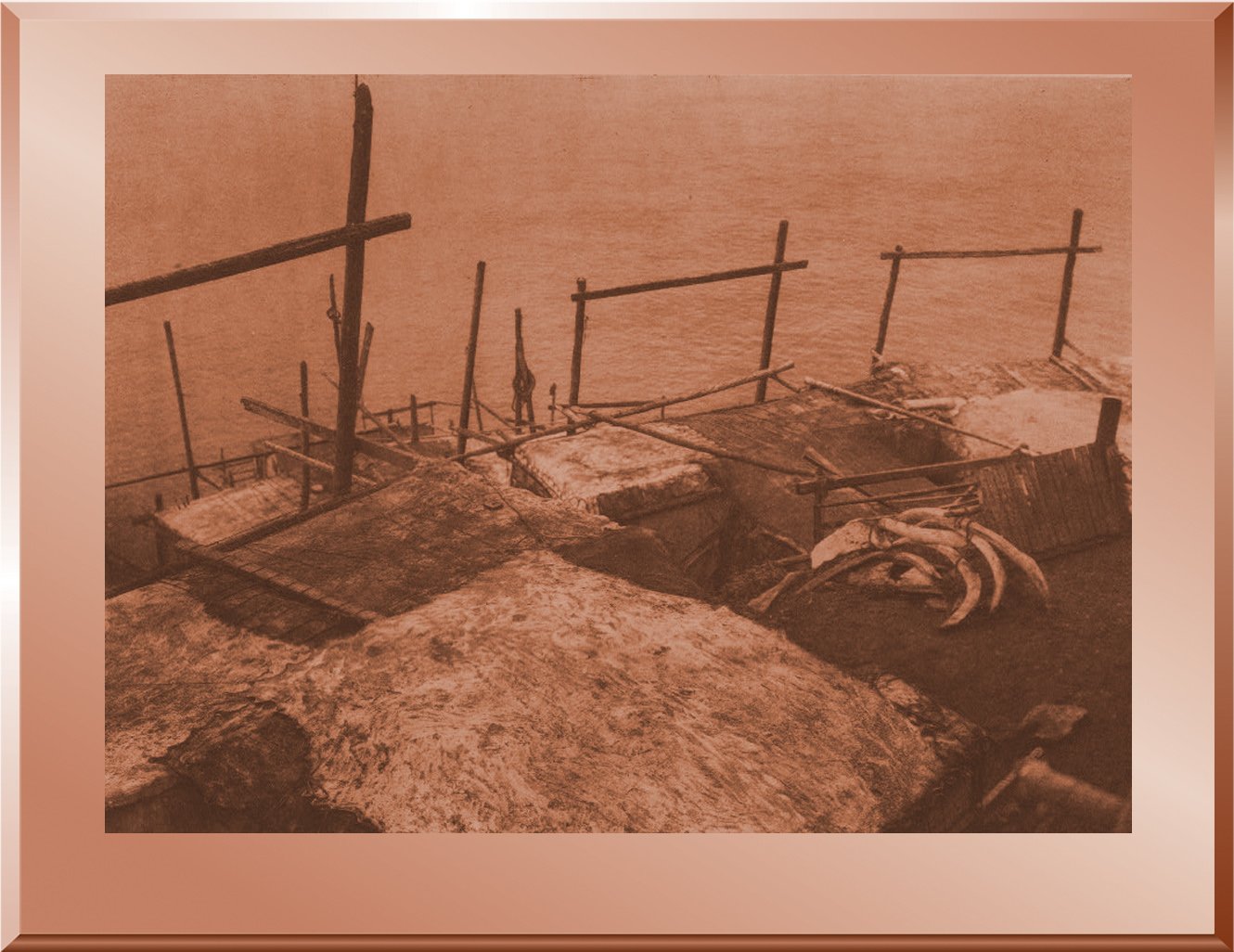 Housetops - King Island