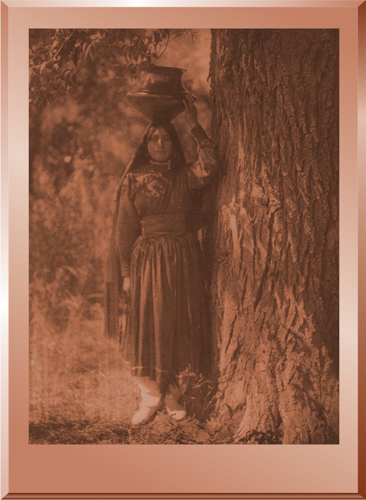 In the Forest - Taos