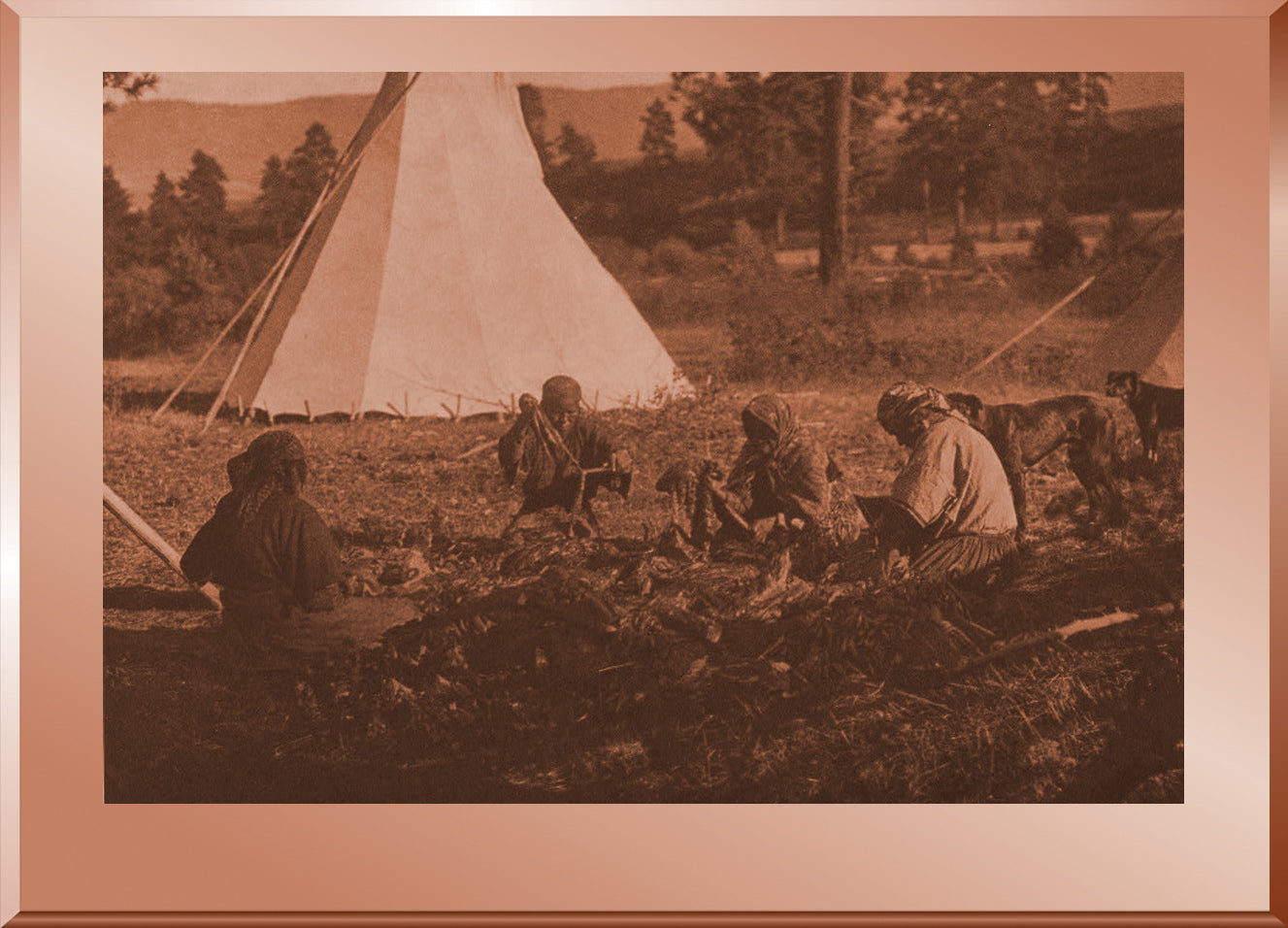 Jerking Meat - Flathead