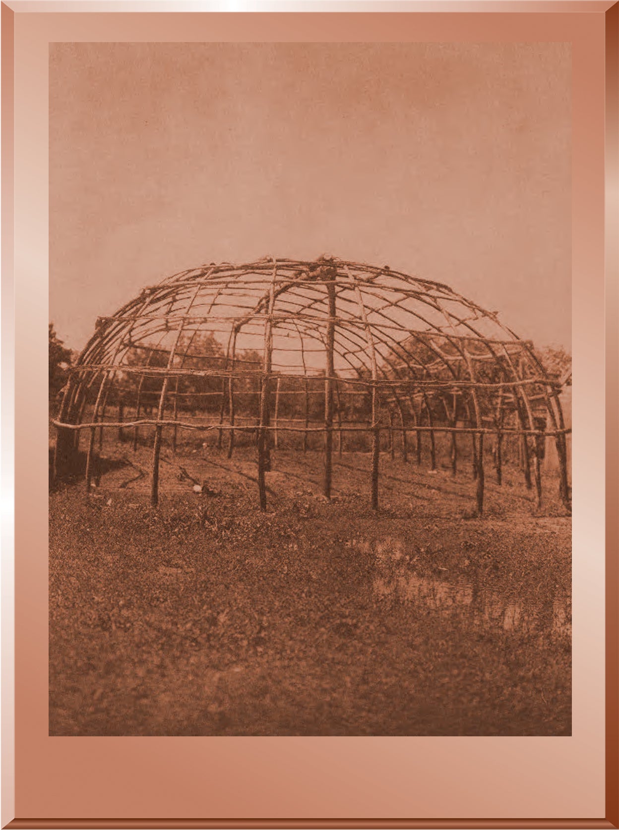 Frame of Osage Arbor