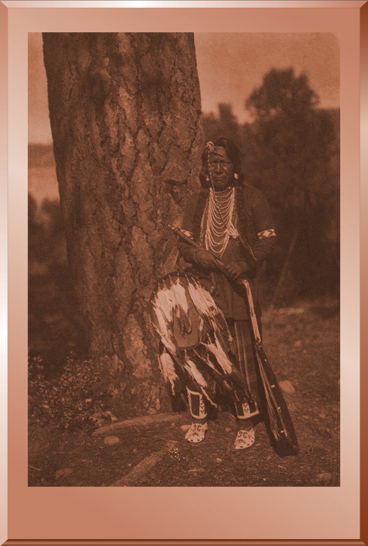 Many Bears - Flathead