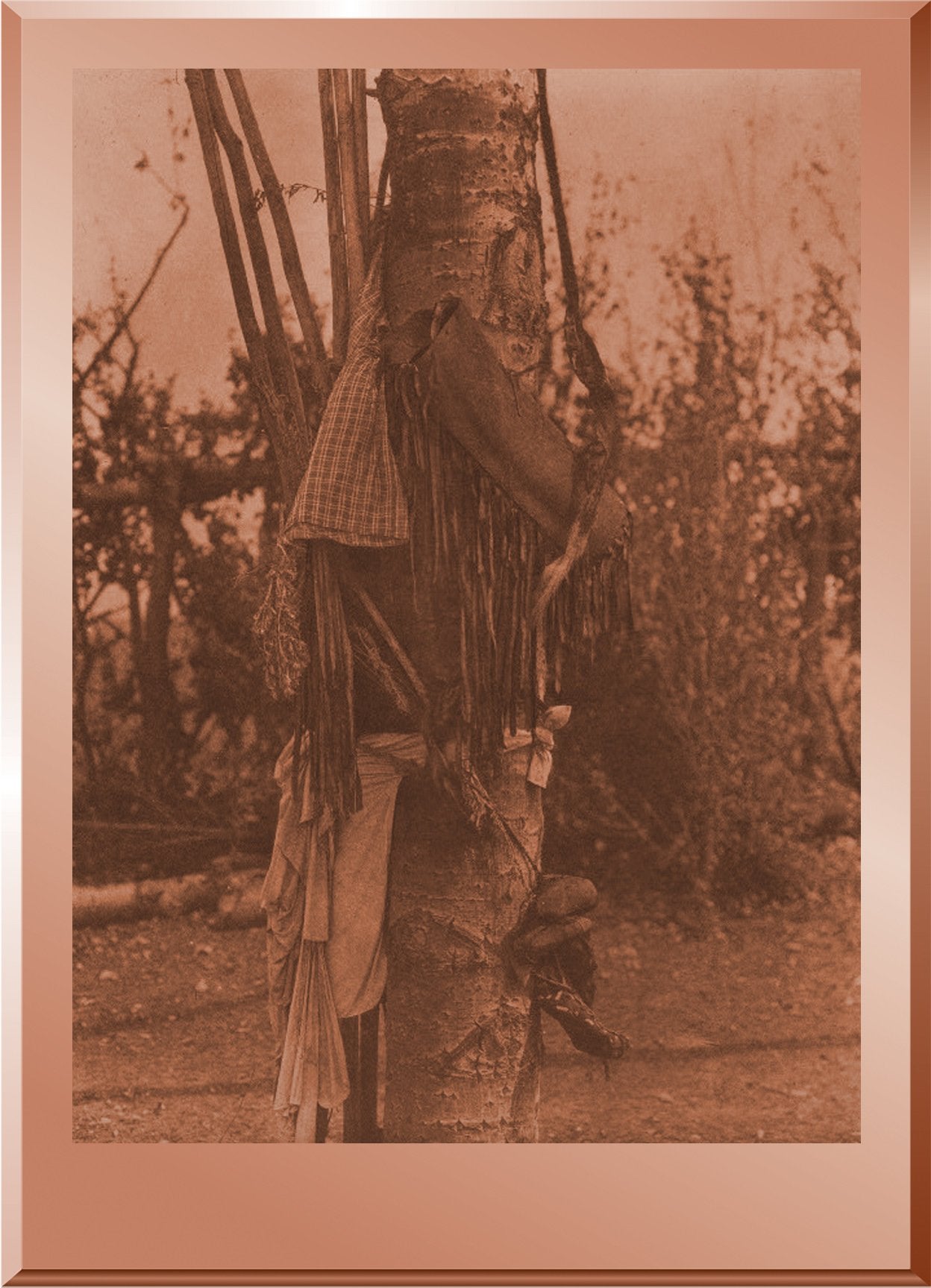 Offerings in the Sun Lodge - Piegan
