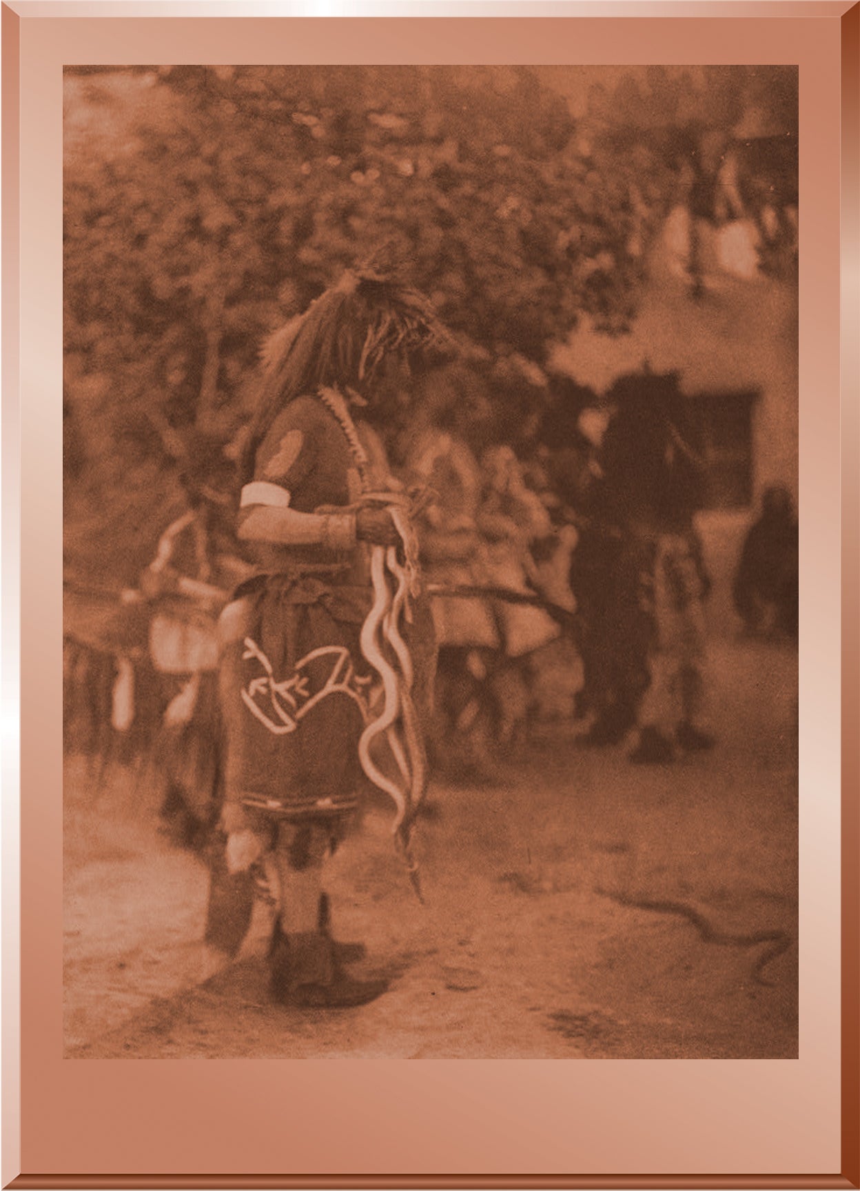 Picking up the Snakes