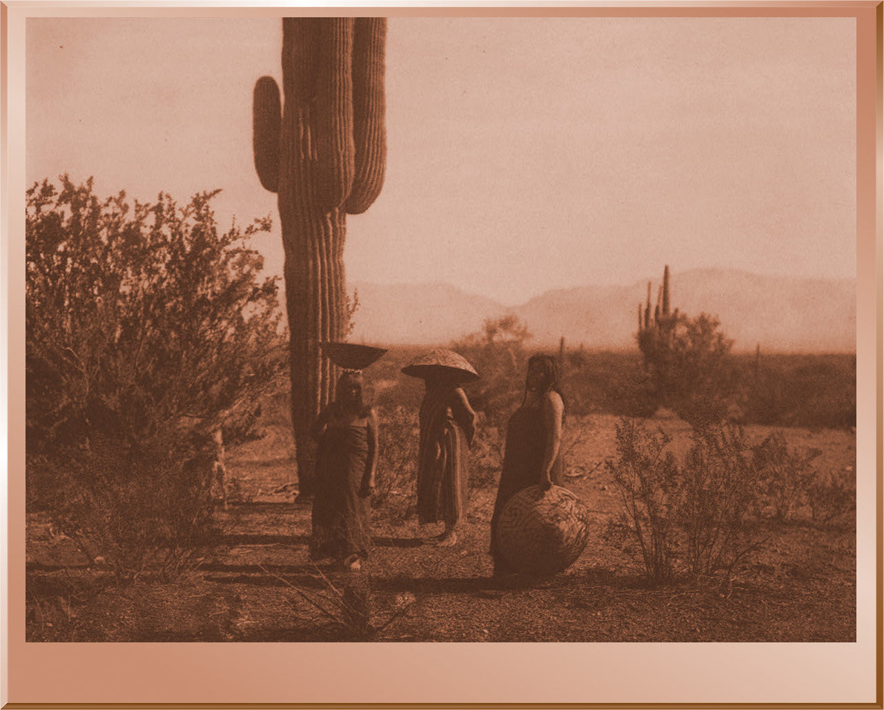 Saguaro Fruit Gatherers - Maricopa