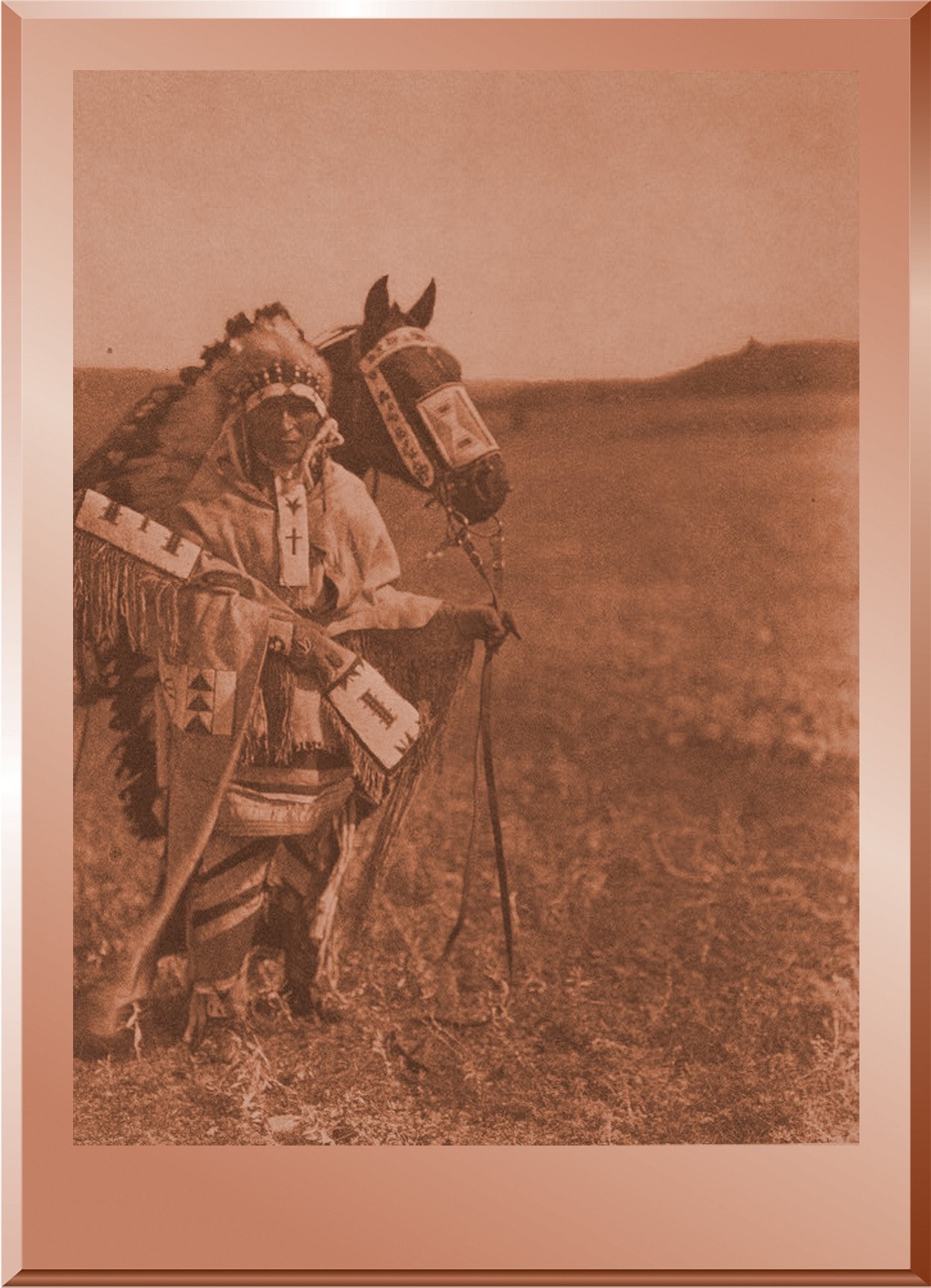 The Chief - Assiniboin