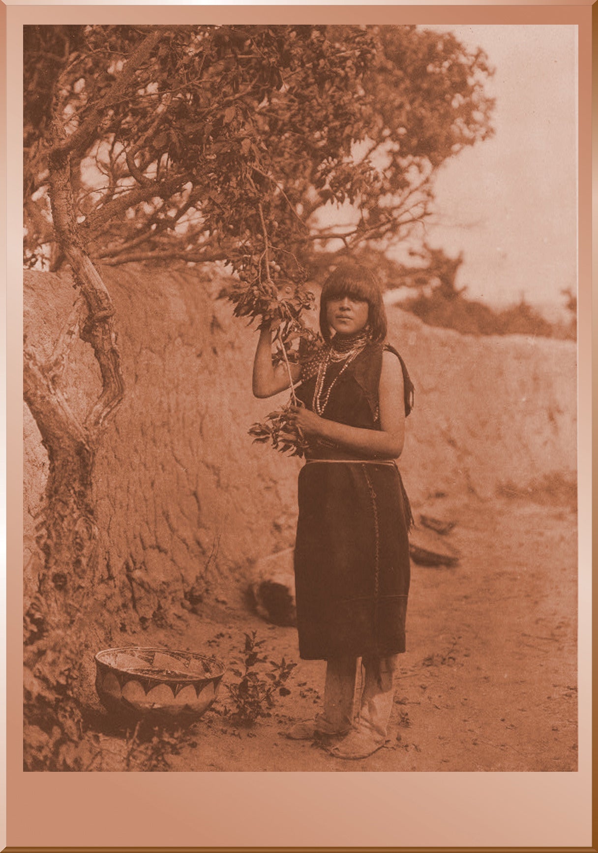 The Fruit Gatherer - San Ildefonso