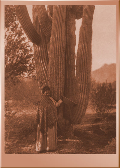 The Pima Woman
