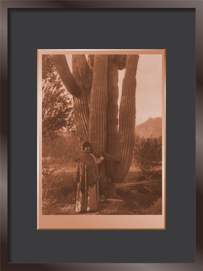 The Pima Woman