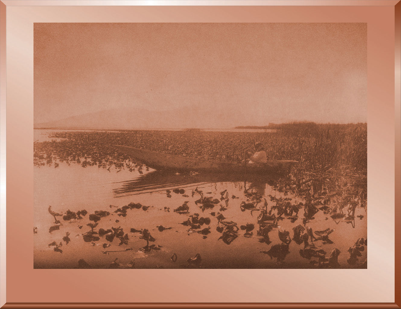 The Wokas Harvest - Klamath