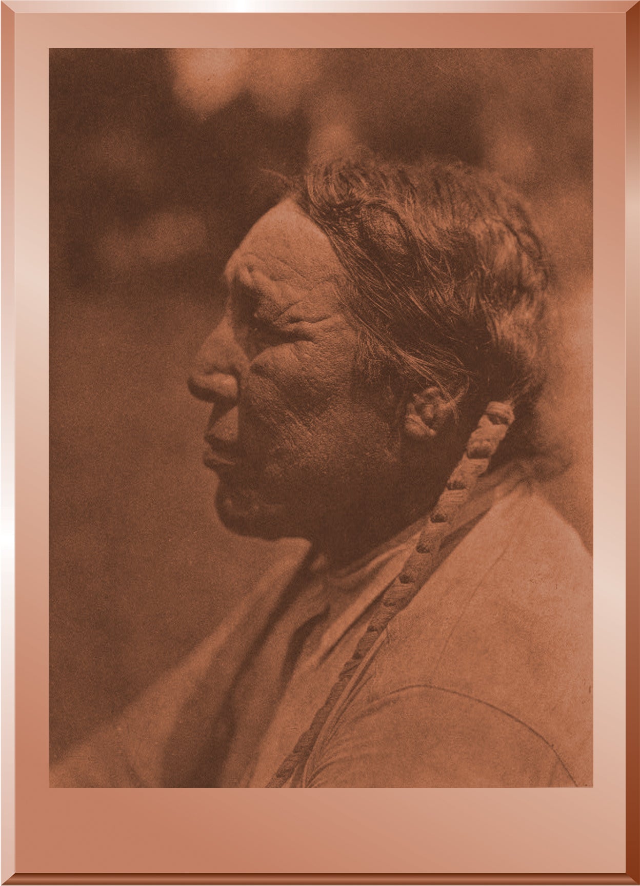 White Weasel - Ponca