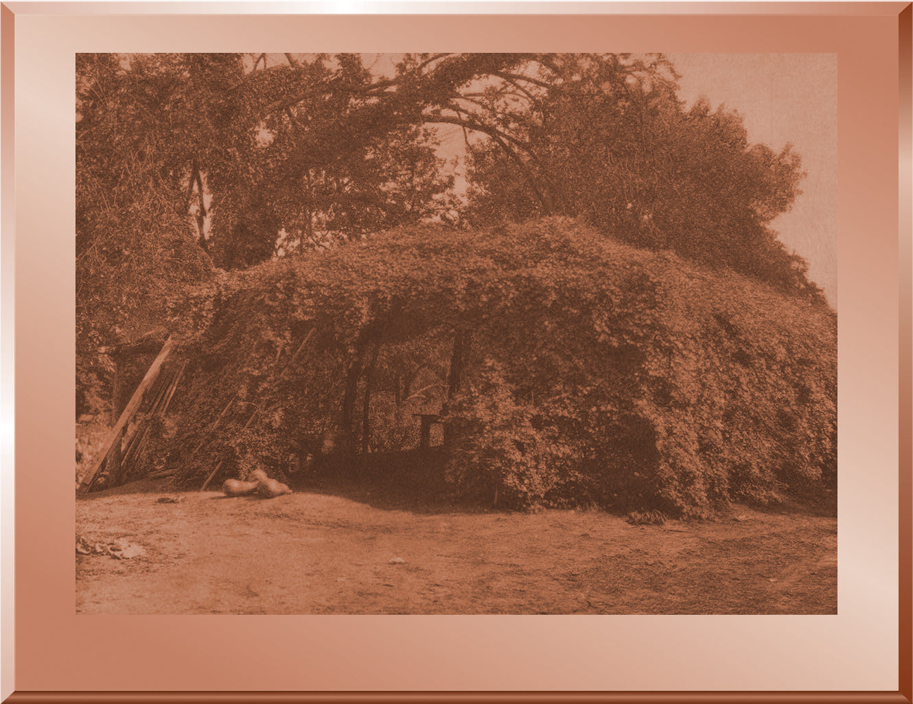 Wichita Summer Arbor